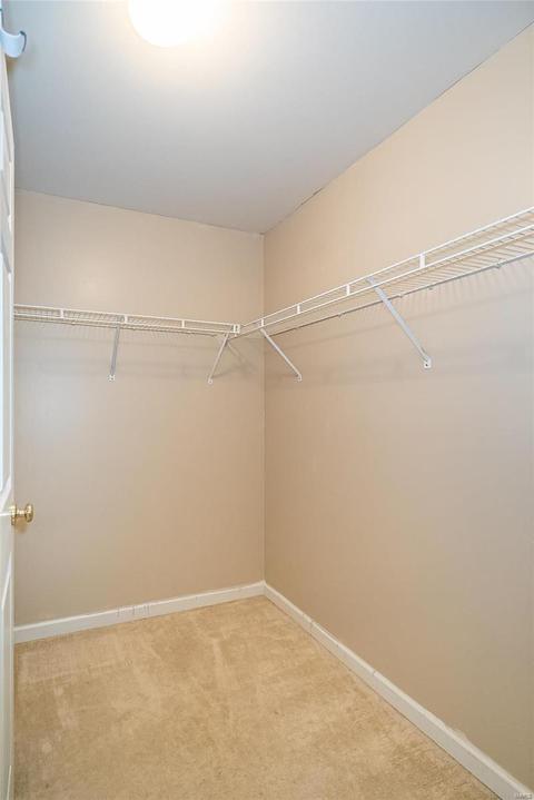 13203 Spring Creek Ln, O'fallon, MO 63368 photo 24