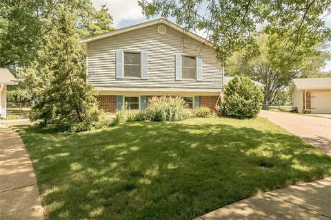 371 Napoli Ct, Ballwin, MO 63021 photo 1
