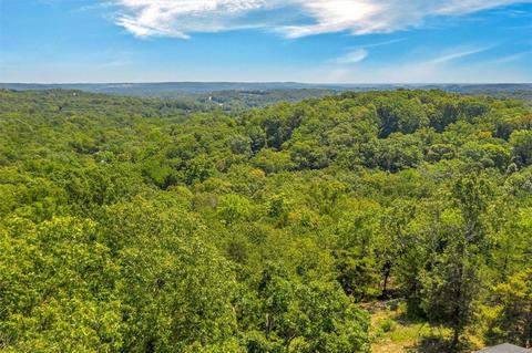 17575 Thunder Mountain Rd, Wildwood, MO 63025 photo 58