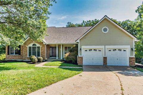 909 Oakgrove Park Ct, Ellisville, MO 63021 photo 2