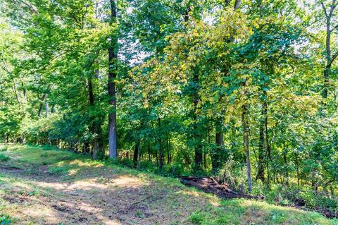 909 Oakgrove Park Ct, Ellisville, MO 63021 photo 54