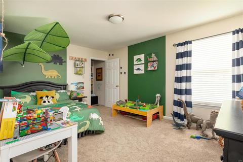 301 Copper Tree, O'fallon, MO 63368 photo 18