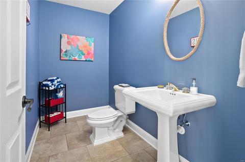13 Georgetown Rd, Chesterfield, MO 63017 photo 44
