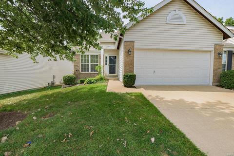 1355 Parkview Estates Dr, Ellisville, MO 63021 photo 39
