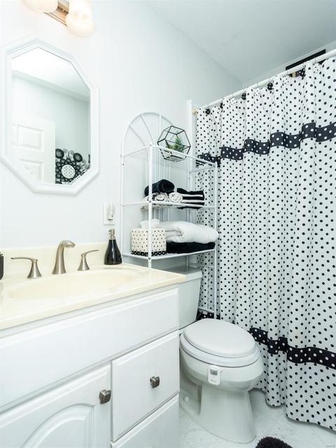 4 Zuider Zee Ct, Ballwin, MO 63011 photo 39