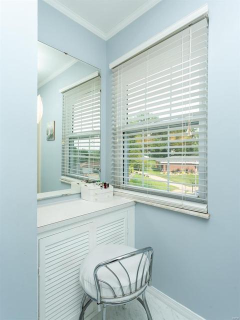 4 Zuider Zee Ct, Ballwin, MO 63011 photo 47