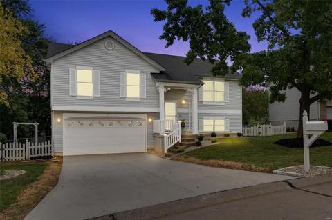 3 Rustler Ct, O'fallon, MO 63368 photo 1