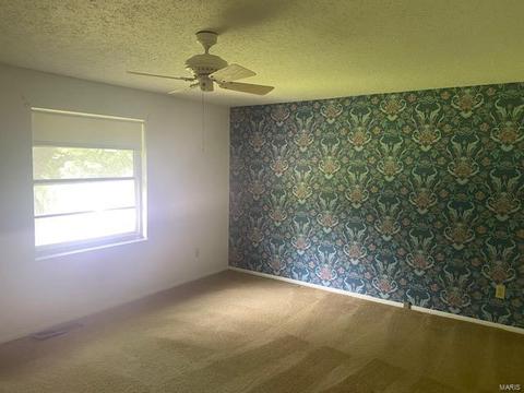 1424 Mautenne, Manchester, MO 63021 photo 10