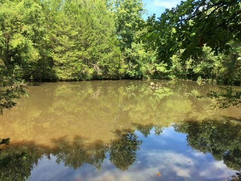335 Moll Rd, Augusta, MO 63332 photo 57