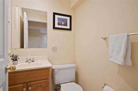 16242 Windfall Ridge Dr, Chesterfield, MO 63005 photo 30