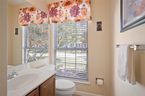 16242 Windfall Ridge Dr, Chesterfield, MO 63005 photo 17