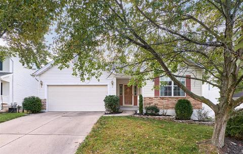 1122 Arbor Spring Ct, Ballwin, MO 63021 photo 1