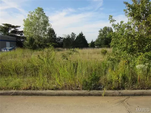 0 Eugene Blvd, Poplar Bluff, MO 63901 photo 3