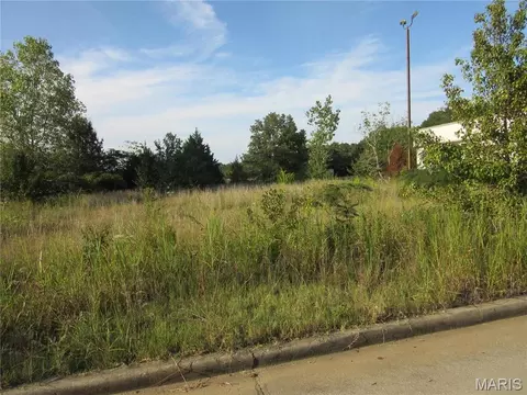 0 Eugene Blvd, Poplar Bluff, MO 63901 photo 2