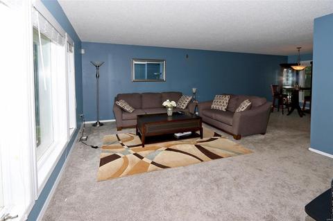 10067 Elba, Saint Louis, MO 63137 photo 5