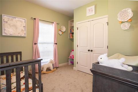 412 Bittersweet Dr, O'fallon, MO 63366 photo 18