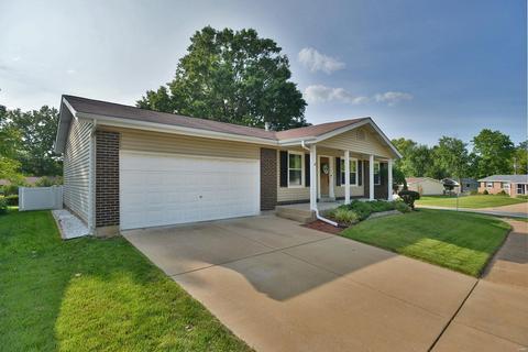 705 Whitewillow Ln, Manchester, MO 63021 photo 57