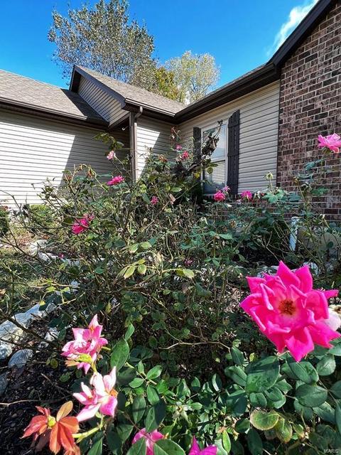 506 Barbara, O'fallon, MO 63366 photo 45