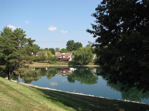 7233 Sweetcider Ln, O'fallon, MO 63368 photo 30