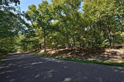 2445 Indian Tree Run, Glencoe, MO 63038 photo 46