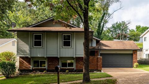 550 Treetop Trail Dr, Manchester, MO 63021 photo 34