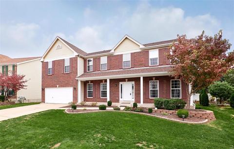 223 Abington Dr, Saint Peters, MO 63376 photo 81