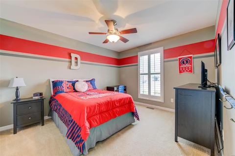 1581 Wainscott Dr, O'fallon, MO 63366 photo 24