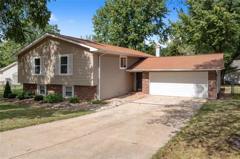 41 Westbrook Dr, O'fallon, MO 63366 photo 28