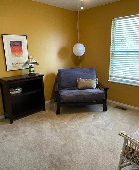 1440 Whispering Crk, Ballwin, MO 63021 photo 32