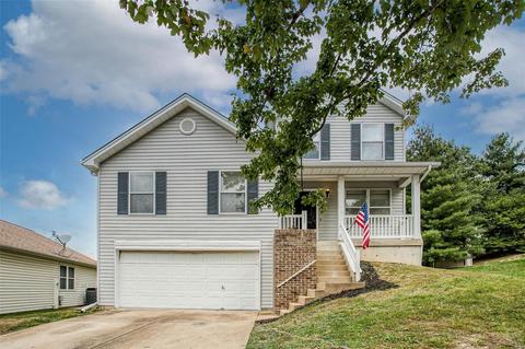 16405 Baja Ct, Wildwood, MO 63011 photo 1