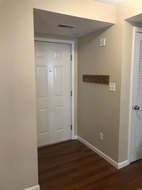 3103 Spring River Dr, O'fallon, MO 63368 photo 5