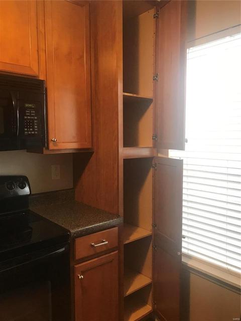 3103 Spring River Dr, O'fallon, MO 63368 photo 12