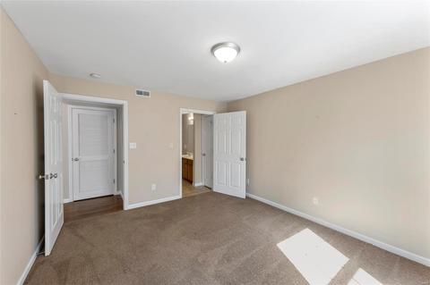 3103 Spring River Dr, O'fallon, MO 63368 photo 22