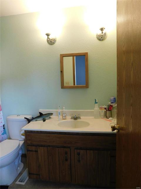 519 Wallach, Eureka, MO 63025 photo 10