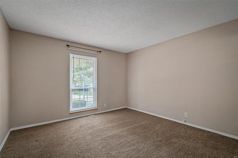 3254 Lake Ave, Bridgeton, MO 63044 photo 18