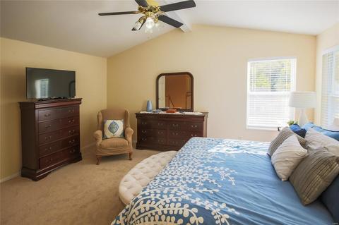 913 Forest Lake Ct, Ballwin, MO 63021 photo 22