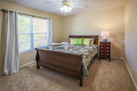 913 Forest Lake Ct, Ballwin, MO 63021 photo 25
