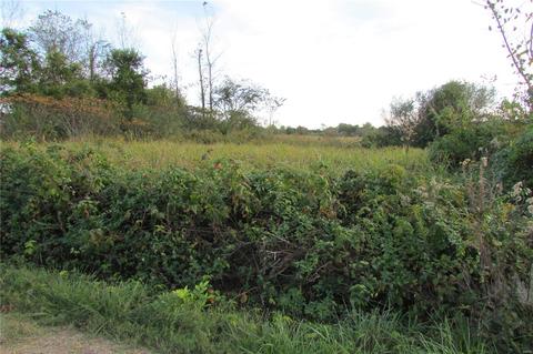 2848 Propst Rd, Doe Run, MO 63637 photo 1