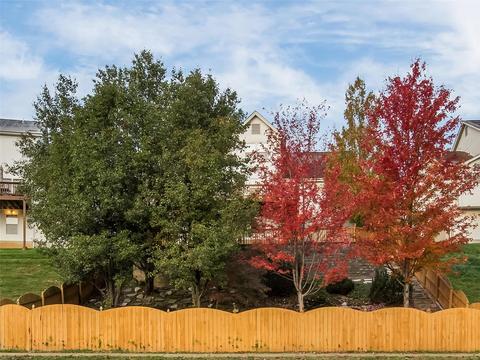 1778 Spring View Terrace Ct, Ballwin, MO 63021 photo 30