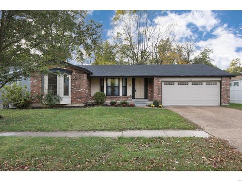 719 Wildview Ln, Manchester, MO 63021 photo 1