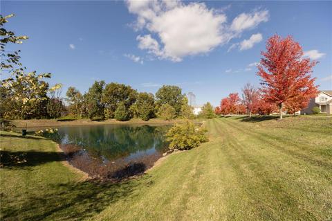14200 Spring Creek Ln, O'fallon, MO 63368 photo 23