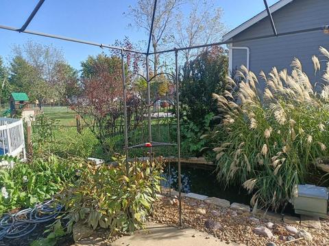 337 Birmingham, O'fallon, MO 63366 photo 20