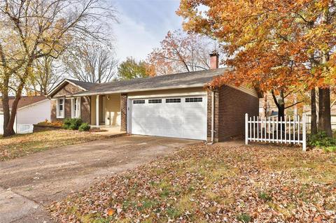 1105 Holgate Dr, Manchester, MO 63021 photo 50