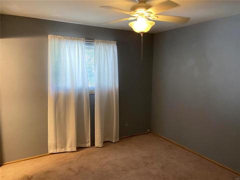 304 Saint Matthew Ave, O'fallon, MO 63366 photo 15