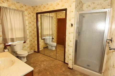 117 Iva Ave, Delta, MO 63766 photo 26