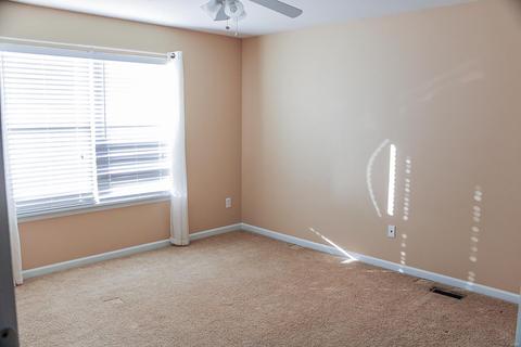 951 Daffodil Rdg, O'fallon, MO 63366 photo 16