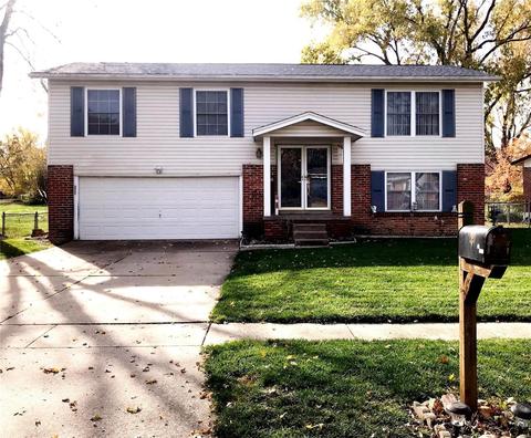 10 Chip Dr, O'fallon, MO 63366 photo 1