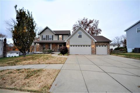 6 Hagers Mill Ct, Manchester, MO 63021 photo 2