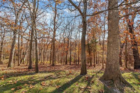 630 Legends Bluffs Ct, Eureka, MO 63025 photo 10