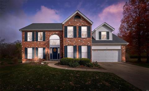 602 Martin Pointe Ct, Wildwood, MO 63011 photo 1